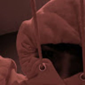 Meet your Posher, Day with